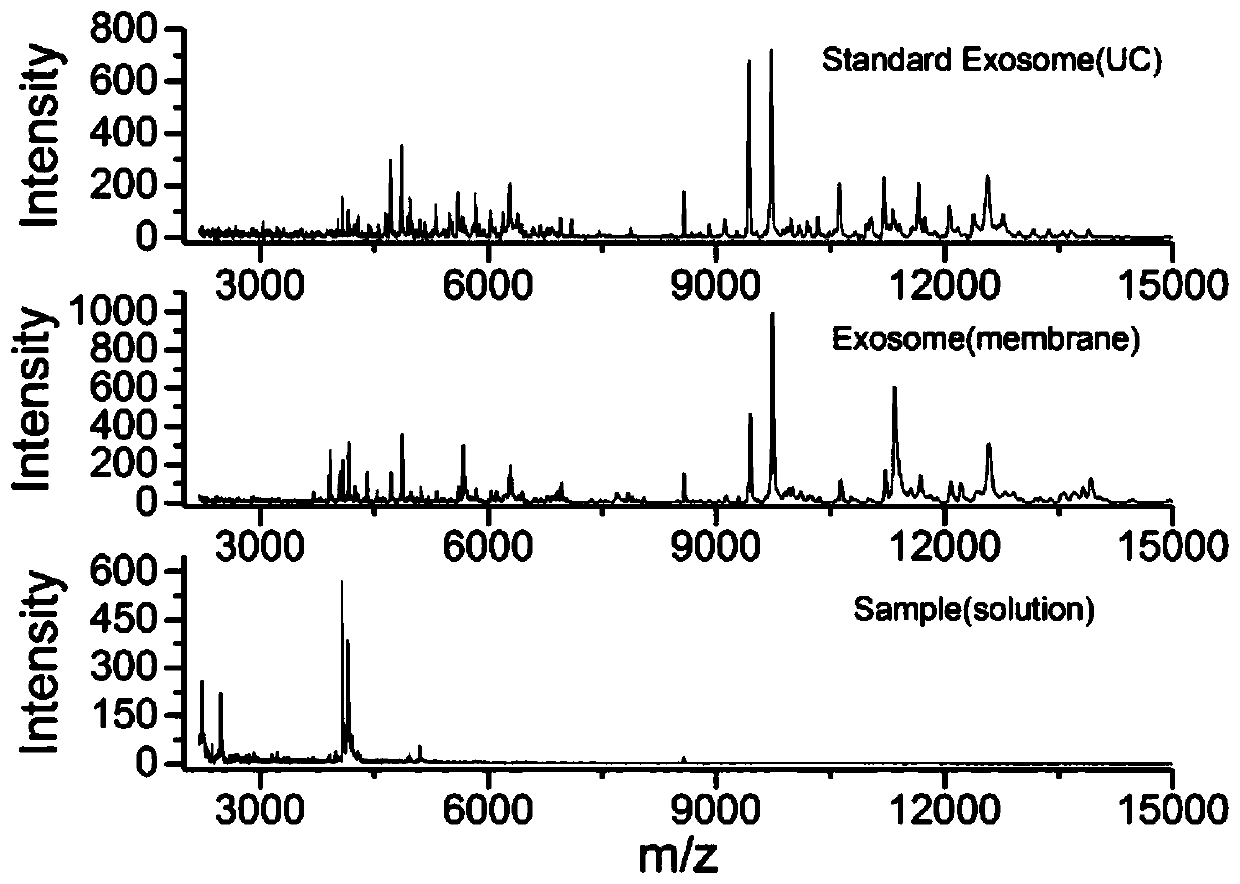 Exosome mass spectrum analysis method adopting continuous filtration