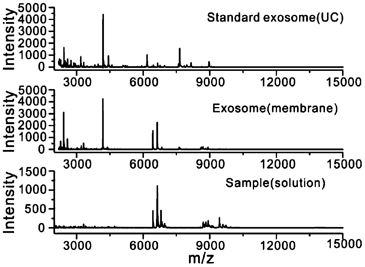 Exosome mass spectrum analysis method adopting continuous filtration