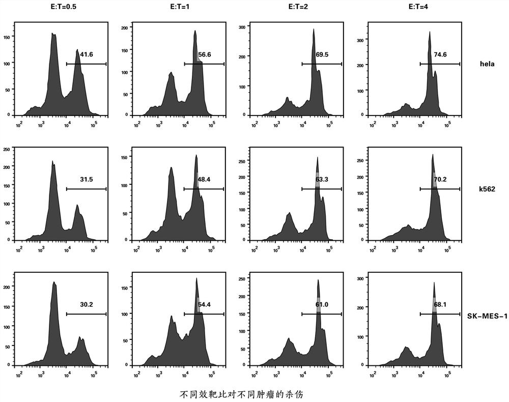 Preparation method of composite immune cell with high killing capability on tumor cells