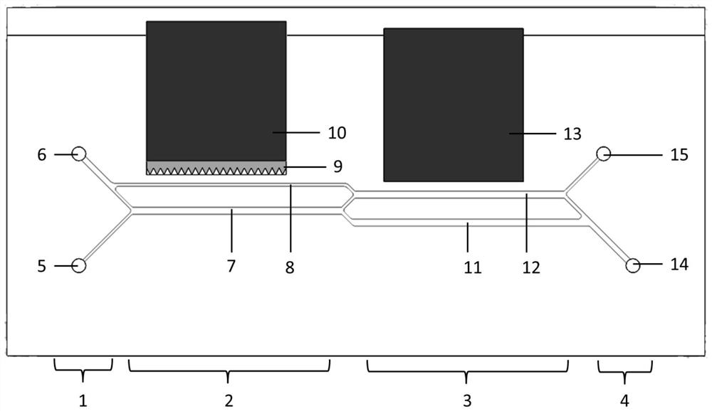 Multiplex Magnetic-Activated Sorting Structural Microfluidic Chip with High Purity Cell Recovery