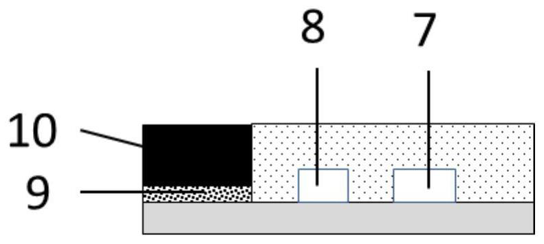 Multiplex Magnetic-Activated Sorting Structural Microfluidic Chip with High Purity Cell Recovery