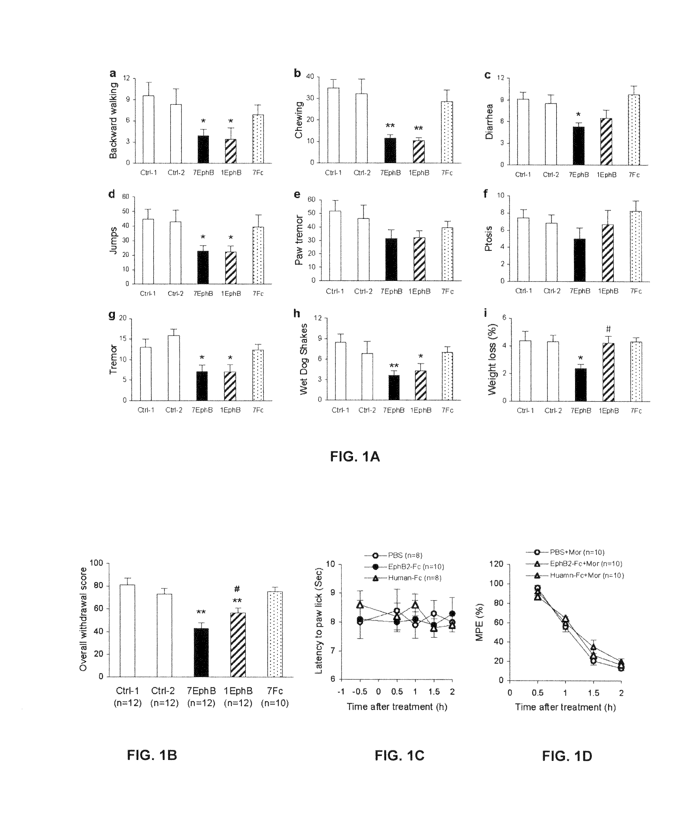 Method for preventing or treating opiate tolerance and dependence