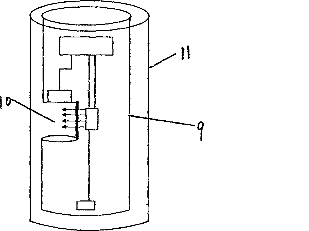 Method and device for classified detecting density of phytoplankton under water in site