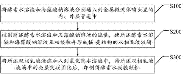 Enzyme hydrogel particle and preparation method thereof