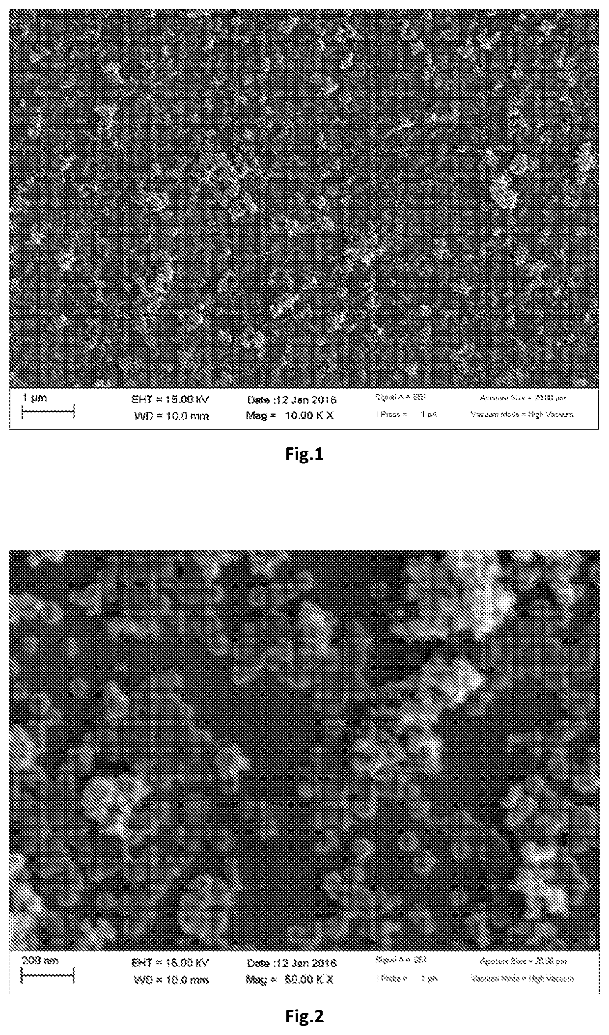 Article having amphiphobic coating film and method for preparation thereof