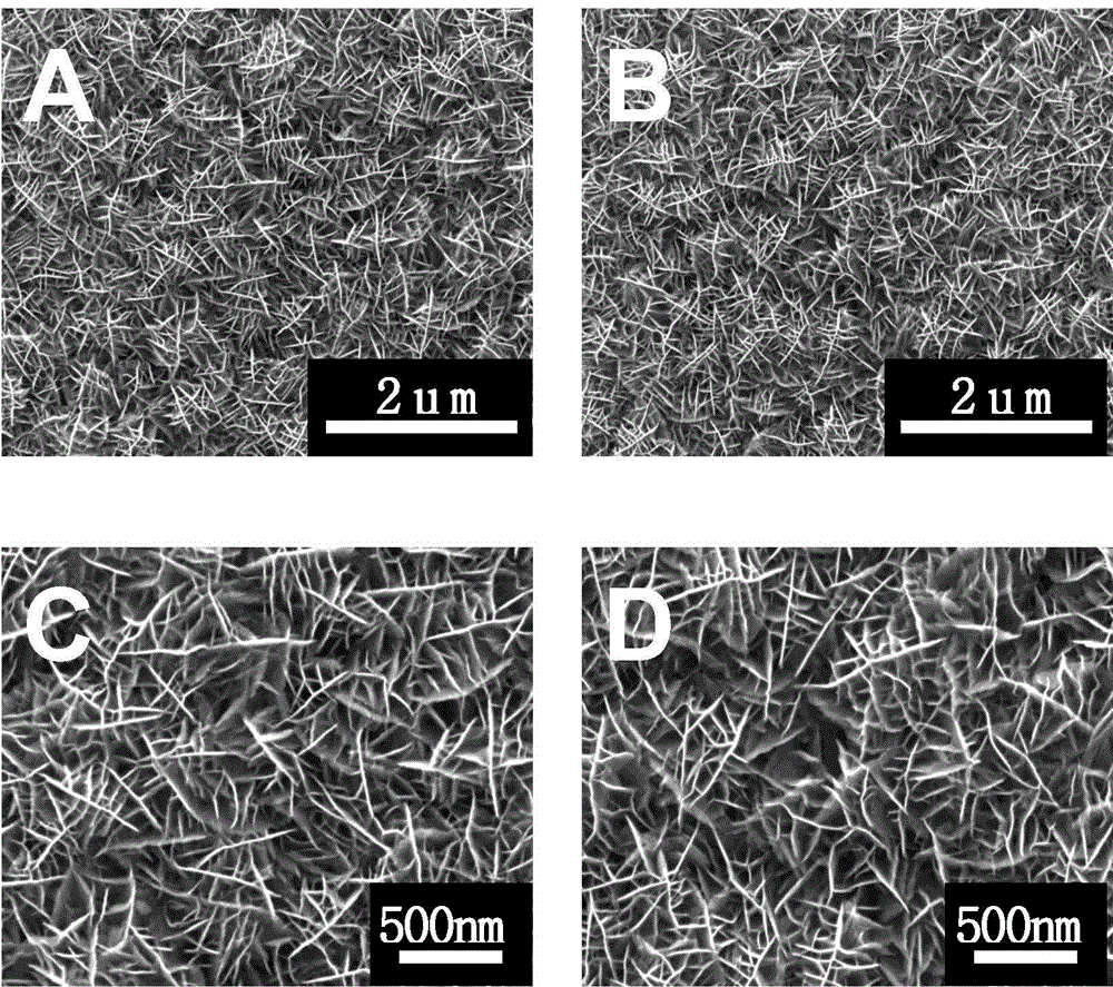 Anatase phase titanium dioxide nanosheet array preparing method
