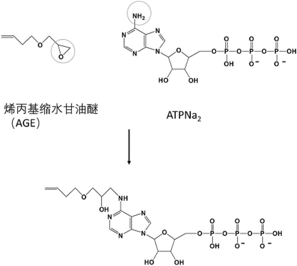 Multi-dimensional series gel electrophoresis system, electrophoresing method and kit