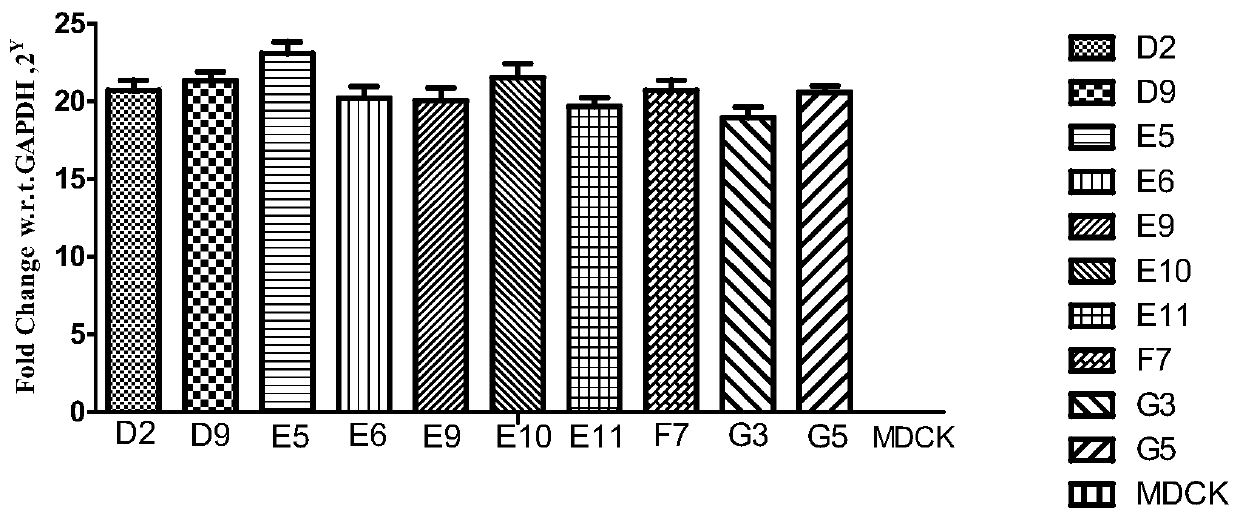 mdck cell line stably expressing human tigar gene