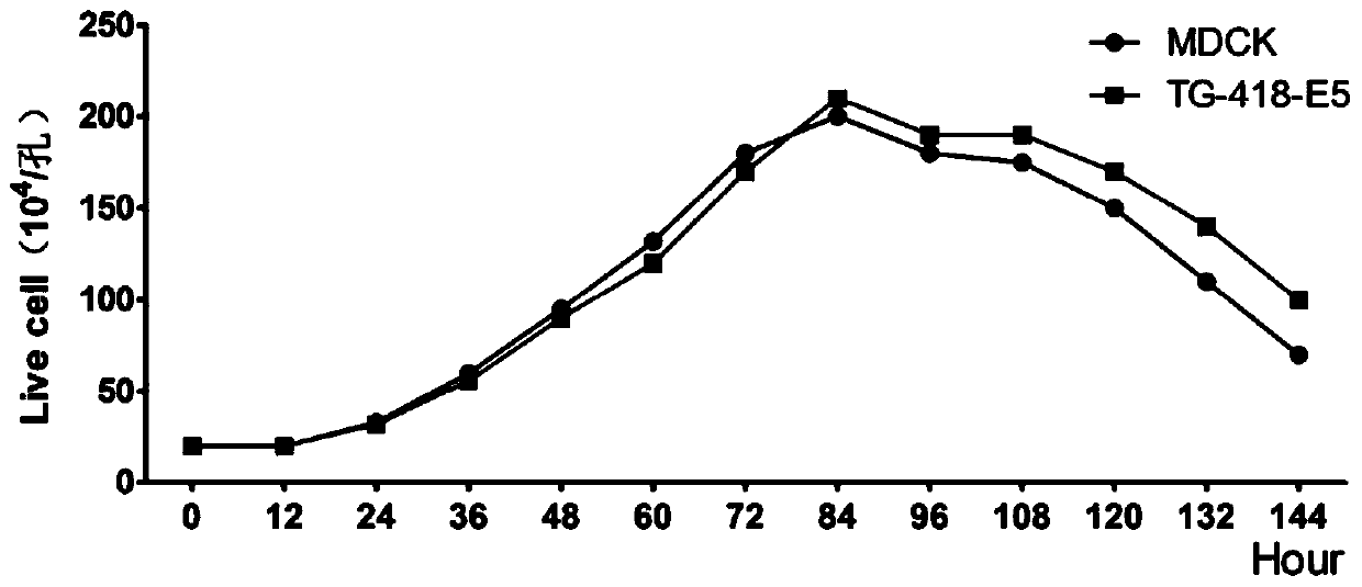 mdck cell line stably expressing human tigar gene