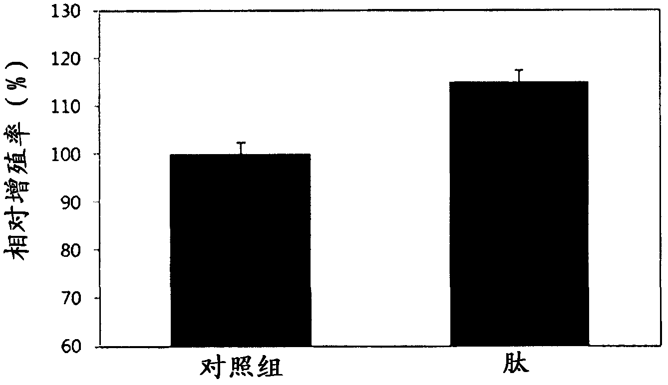 Noggin-derived peptide and use thereof