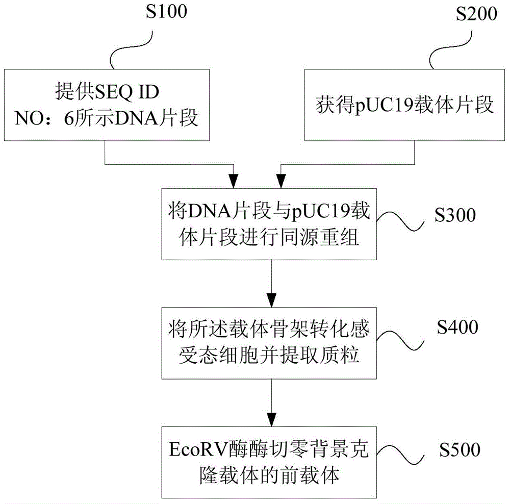 Zero-background cloning vector as well as preparation method and application thereof