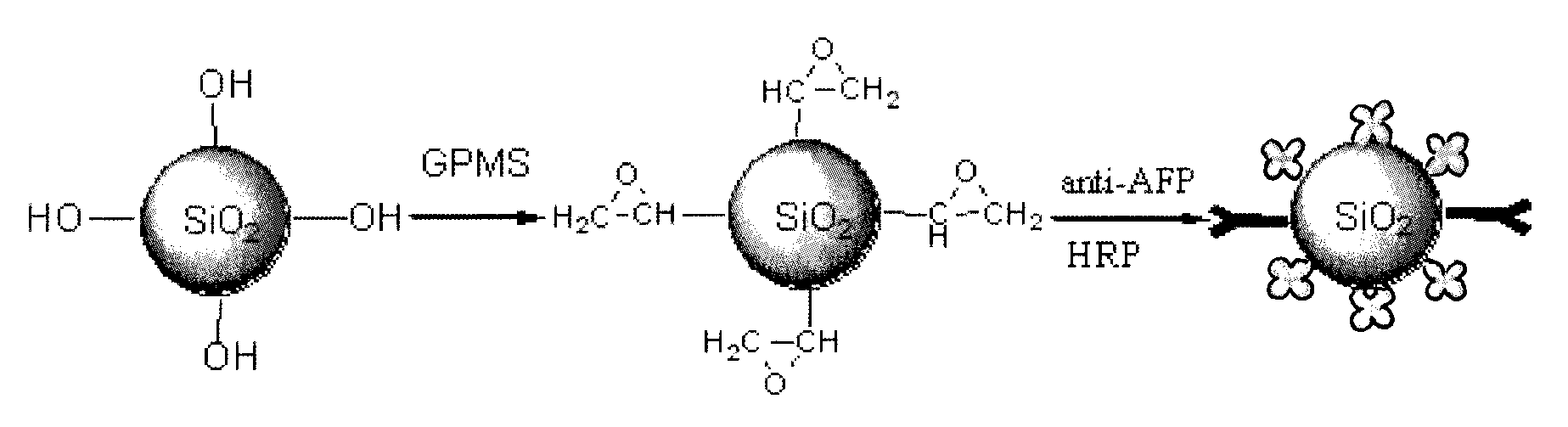 Production method for enzyme functionalized nano immunity marker and use thereof