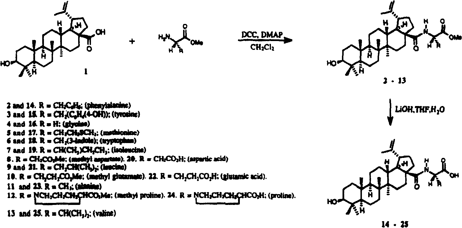 23-Hydroxyl betulinic acid kind derivant and preparing process, preparation and use thereof
