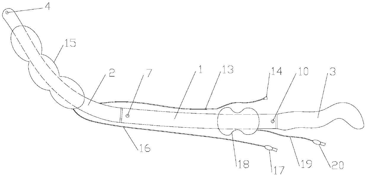 Multifunctional rectal lifting device