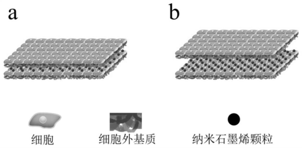 A kind of extracellular matrix composite film with photothermal effect and preparation method thereof