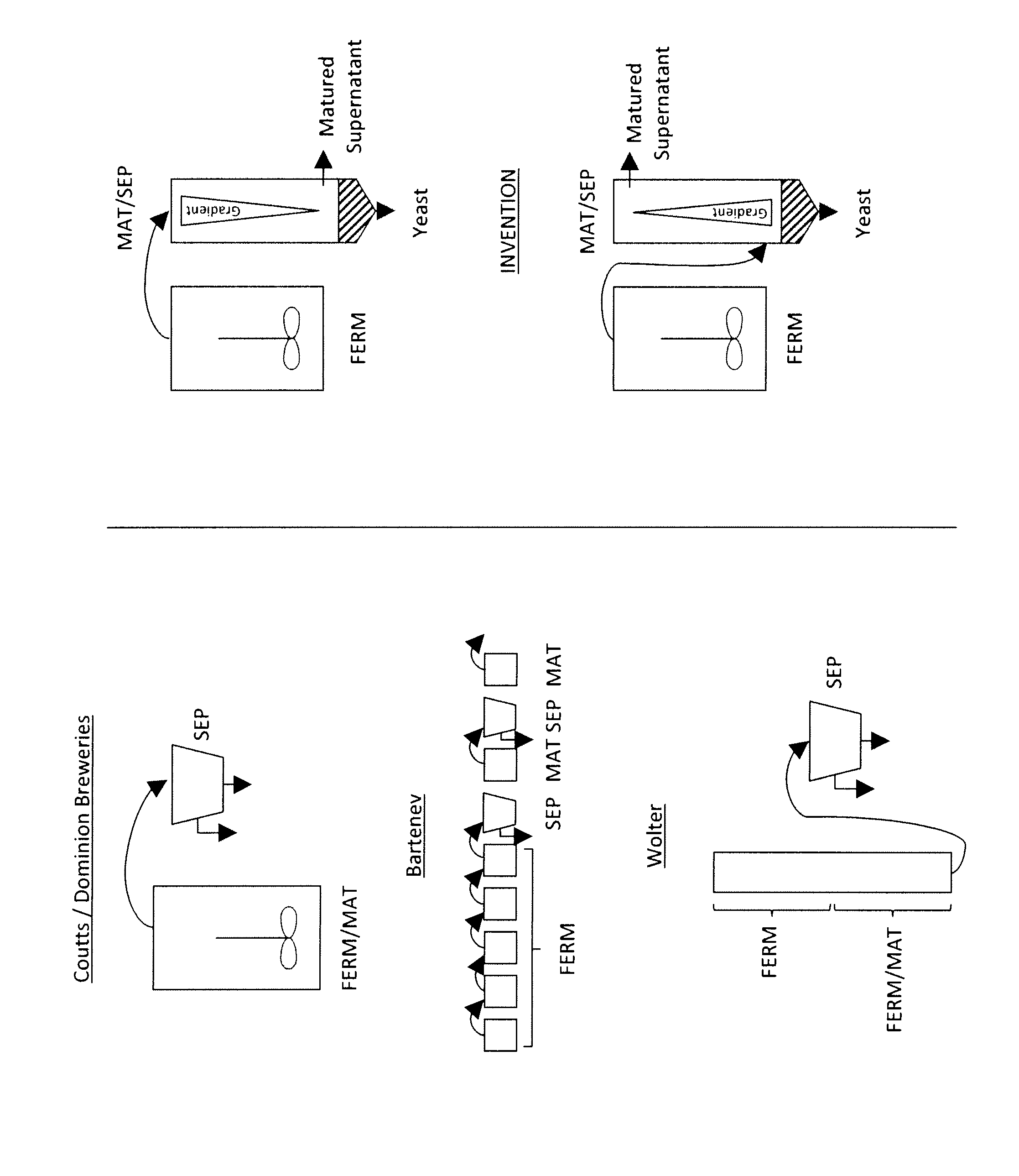 Method of fermenting wort