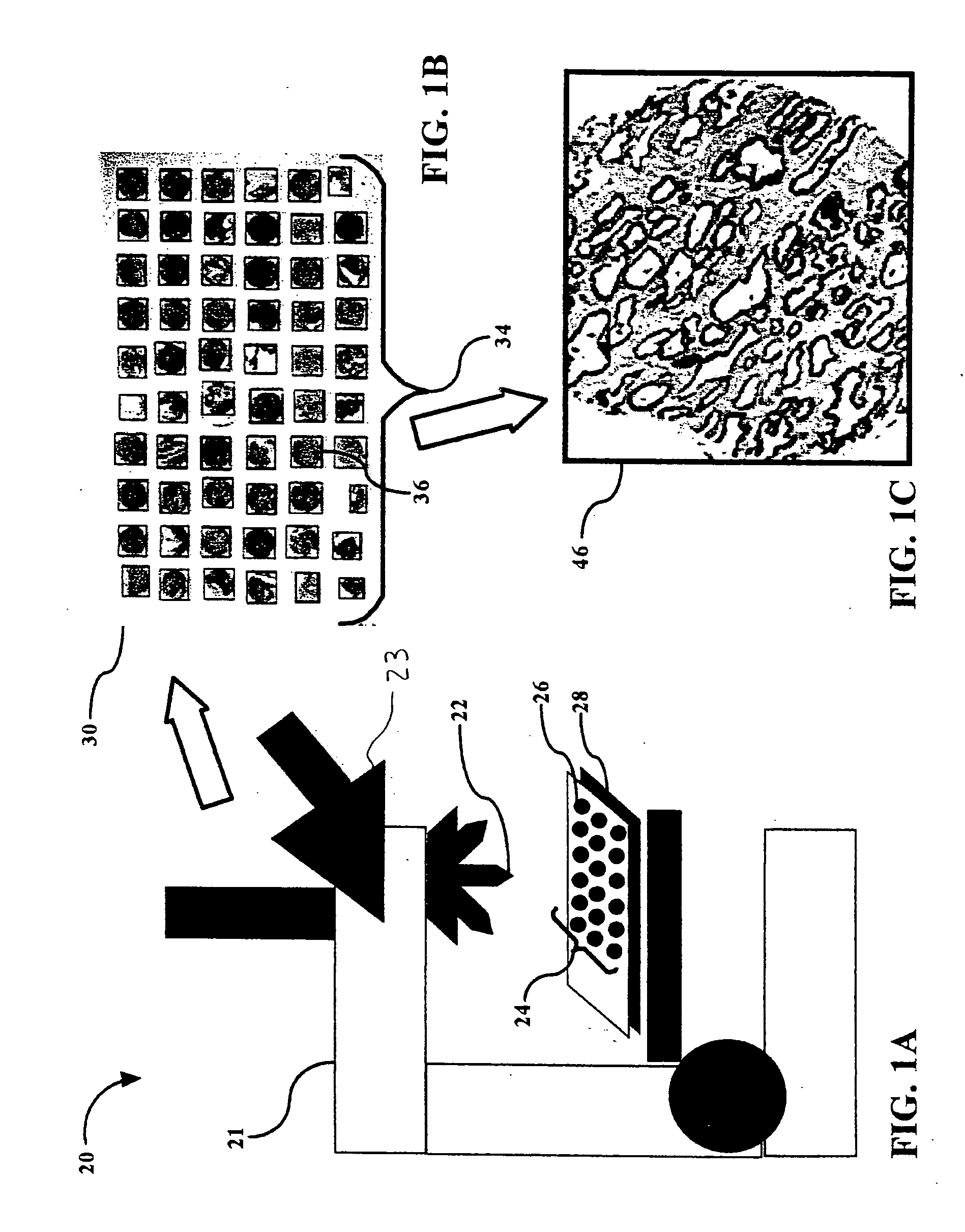 Automated microscope slide tissue sample mapping and image acquisition