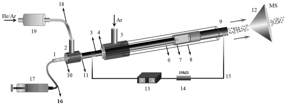 An atmospheric pressure glow discharge ion source device