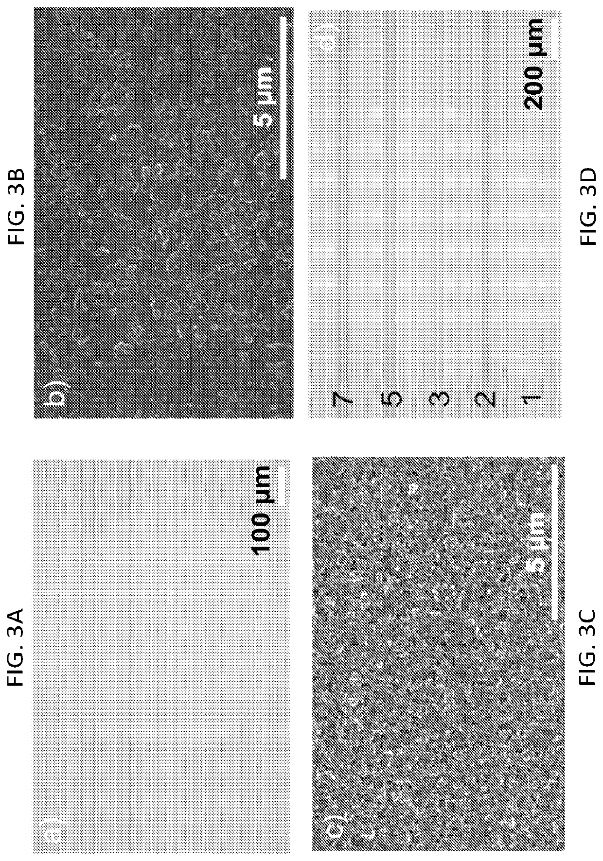 Two-dimensional insulator based printable ion-conductive and viscosity-tunable inks, fabricating methods and applications of same