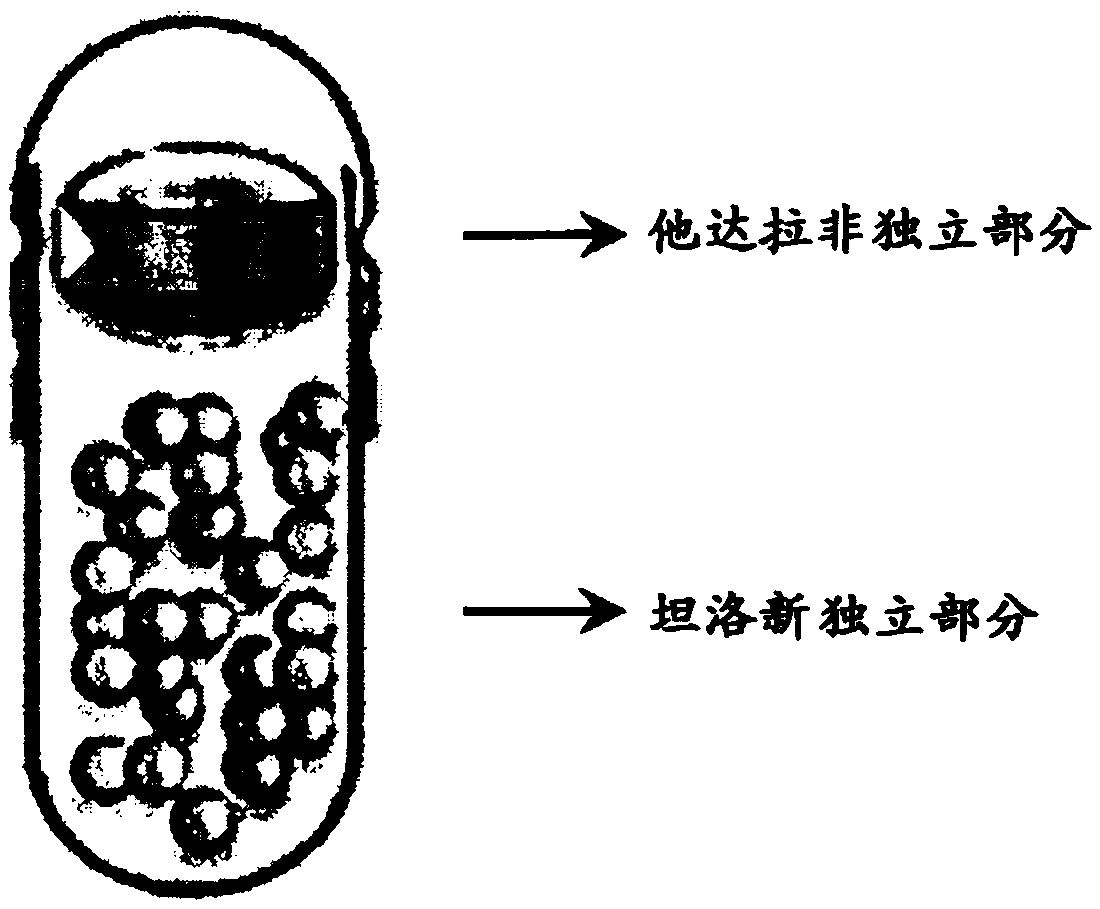 Pharmaceutical capsule composite formulation comprising tadalafil and tamsulosin