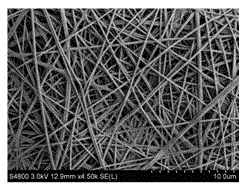 A kind of sodium alginate-based lithium battery diaphragm and preparation method thereof