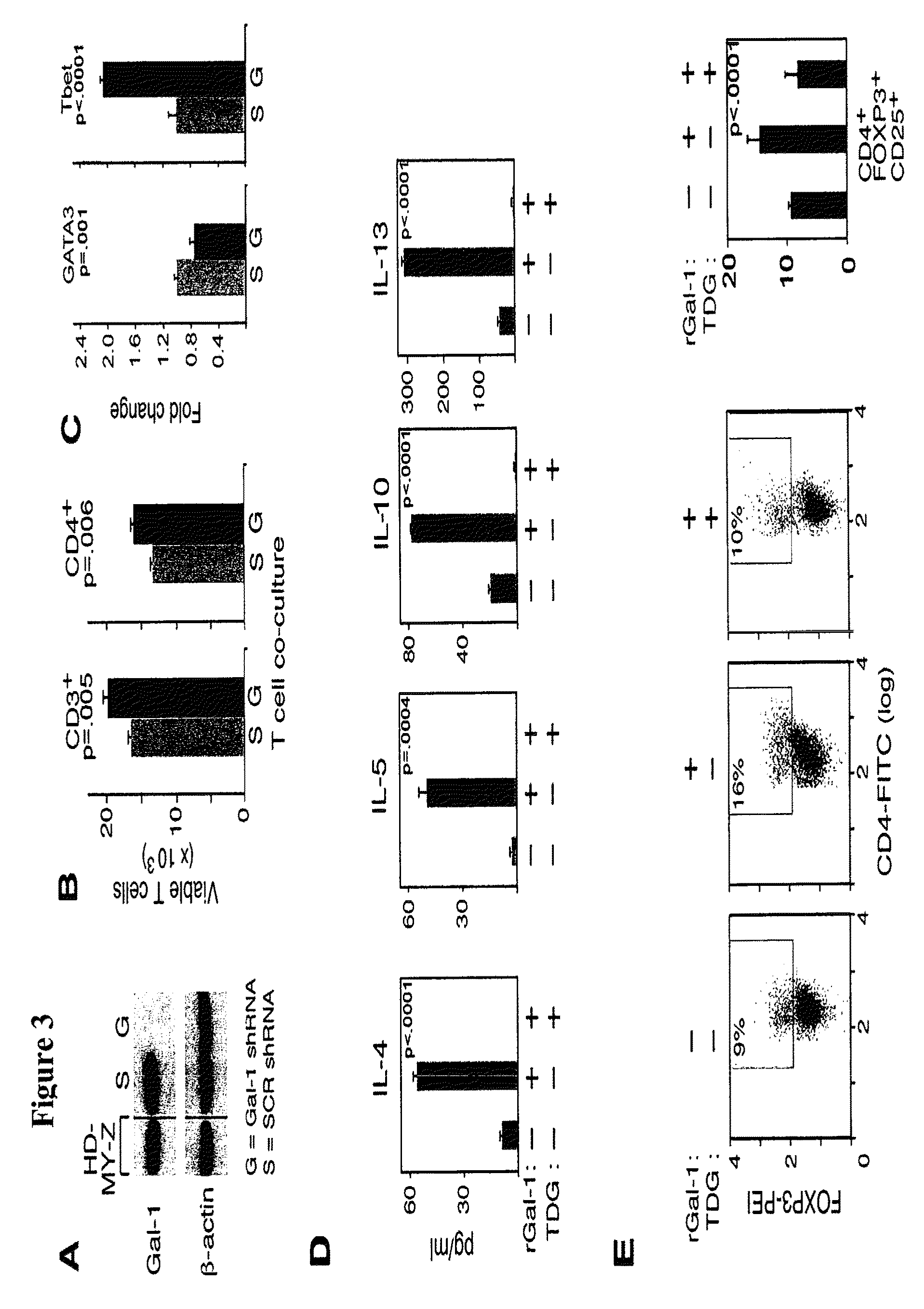 Compositions, kits, and methods for the modulation of immune responses using galectin-1