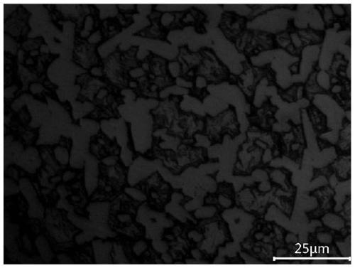 A Varying Temperature Sintering Process of 25% Cr High Chromium Cast Iron and Its Products