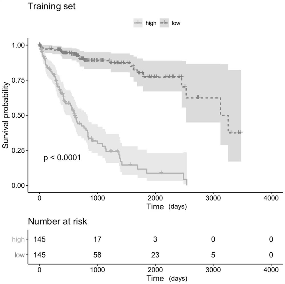 Evaluation gene sets and kits for predicting the prognosis of liver cancer