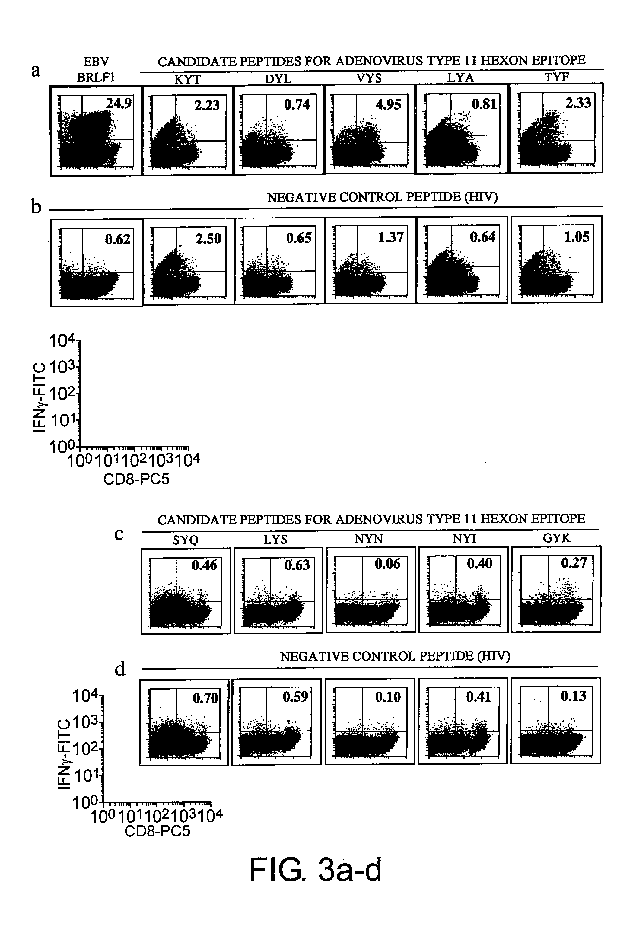 Cytotoxic t-cell epitope peptide and use thereof