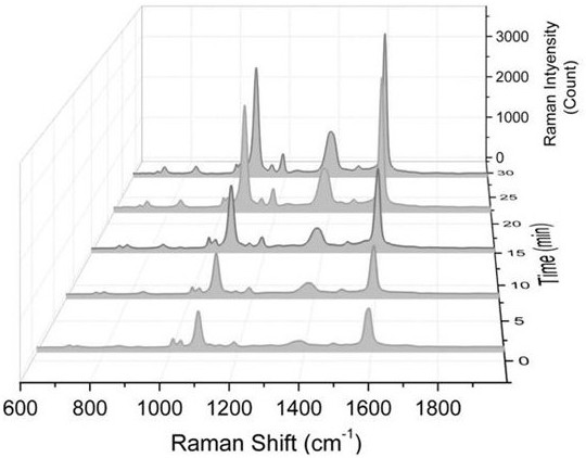 Metal ion dynamic detection and regulation method based on Raman spectrum