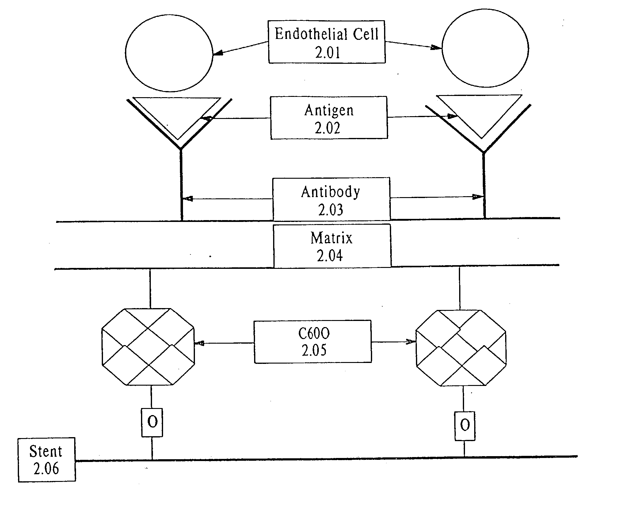 Medical device with coating that promotes cell adherence and differentiation