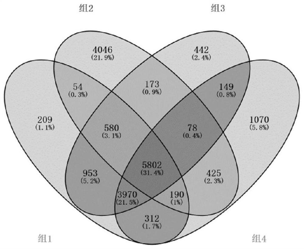 Biomarkers for evaluating early colorectal cancer