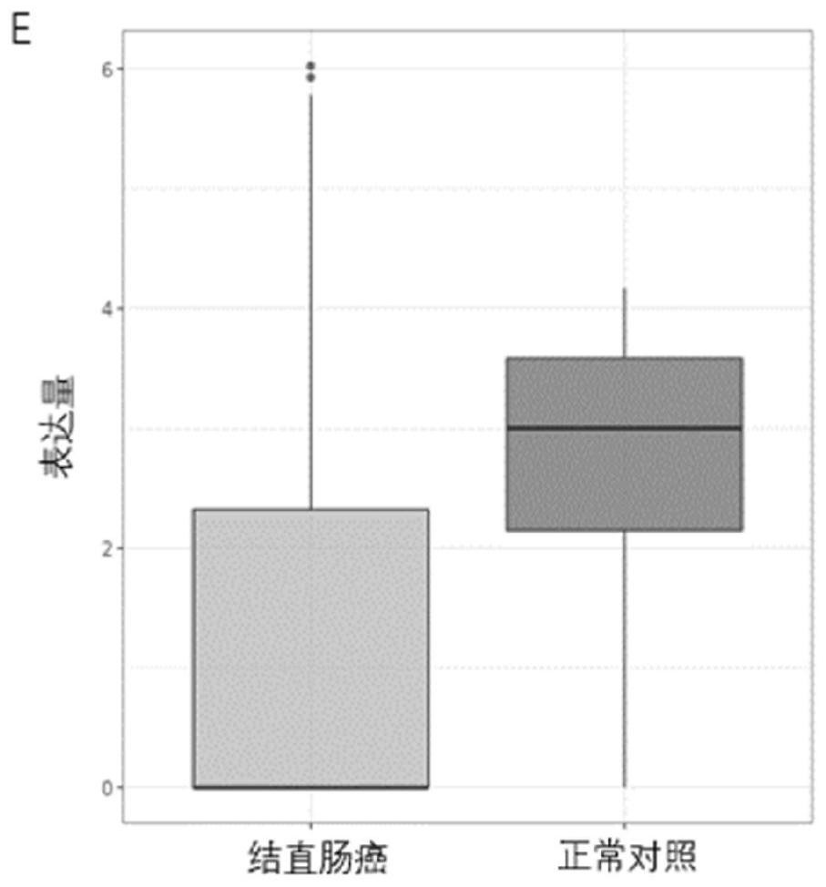 Biomarkers for evaluating early colorectal cancer