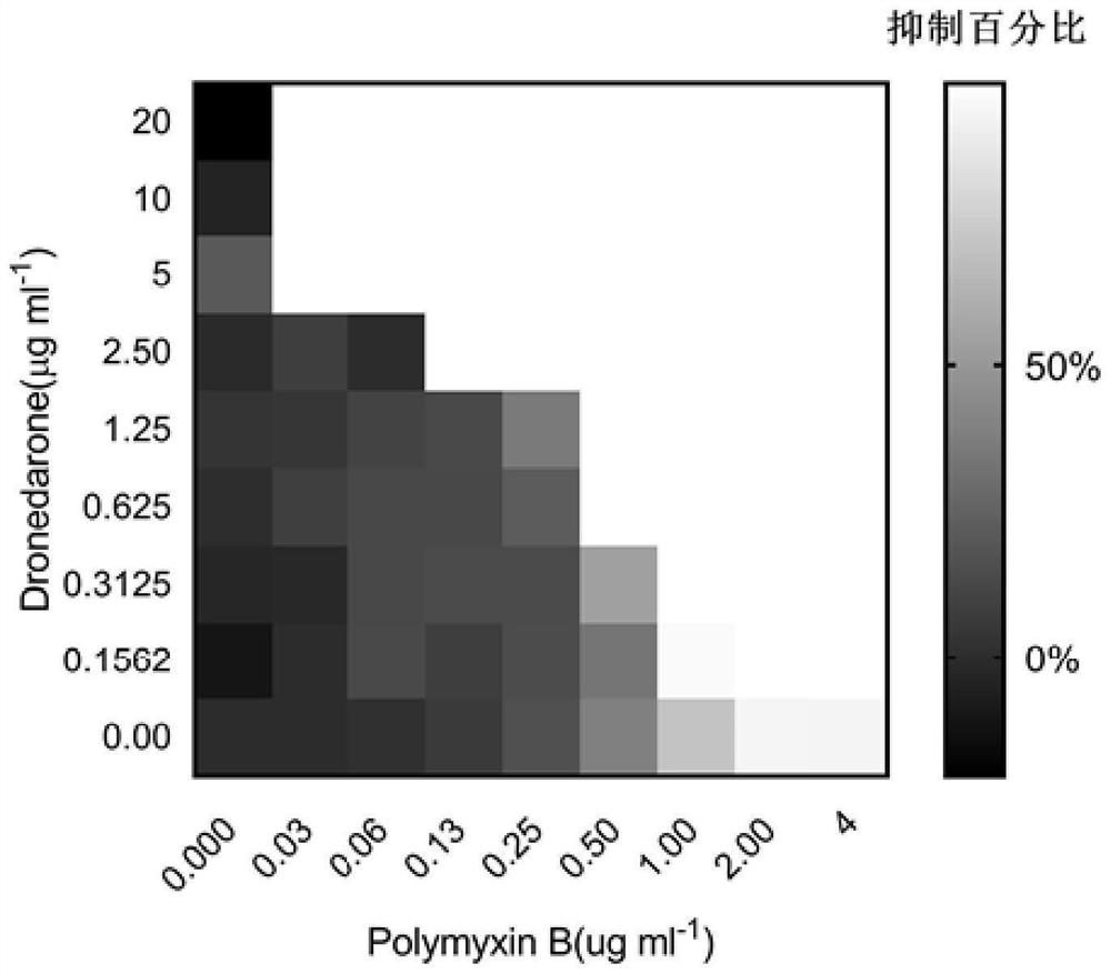 Polymyxin antibiotic synergist and anti-gram-negative bacteria pharmaceutical composition