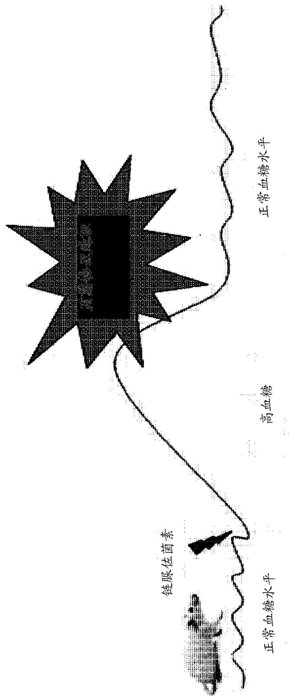 Biomarker sbp1 for early diagnosis of renal diseases, and use thereof