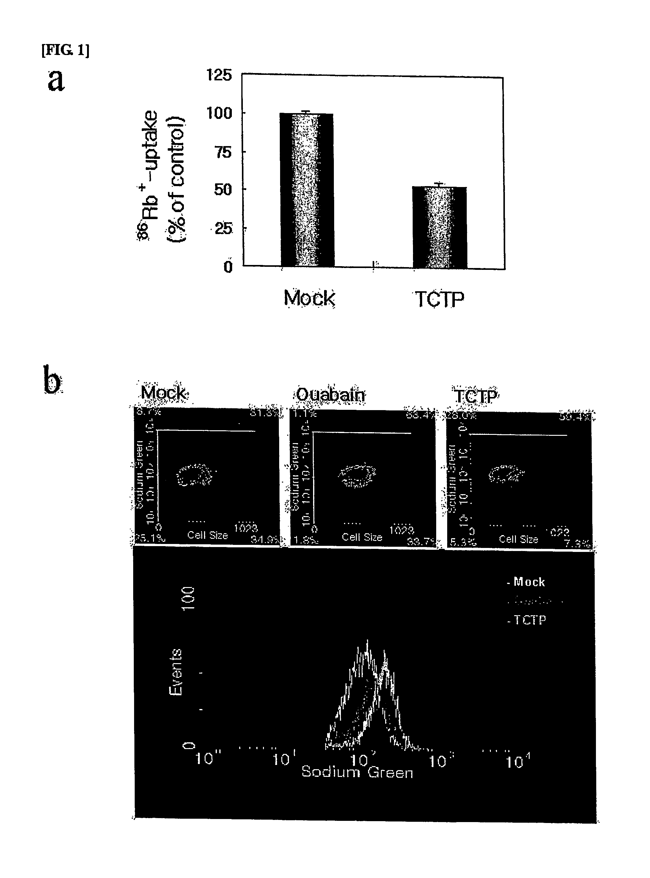 Composition For Screening Anti-Hypertension Drug Comprising Mammal Tctp Gene or Its Protein Product, and Method For Screening Anti-Hypertension Drug Using Said Composition