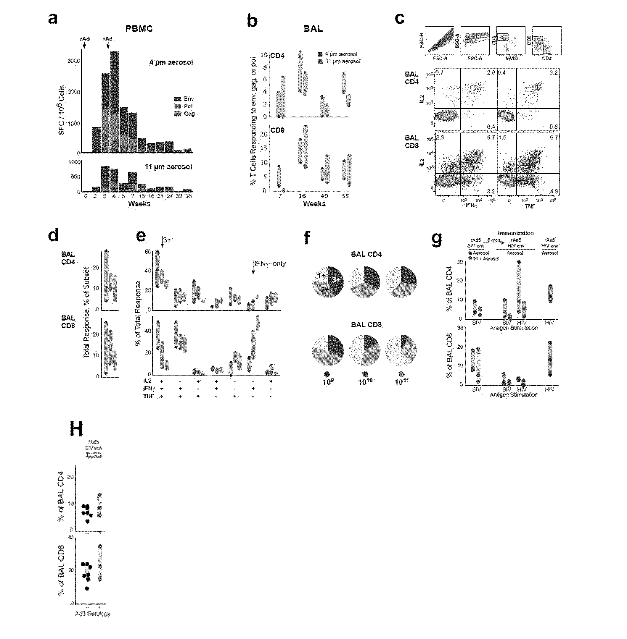 Aerosolized genetic vaccines and methods of use