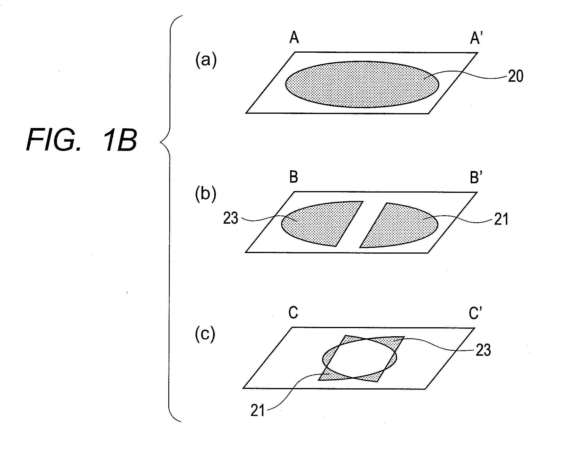 Transmission electron microscope and method for observing specimen image with the same