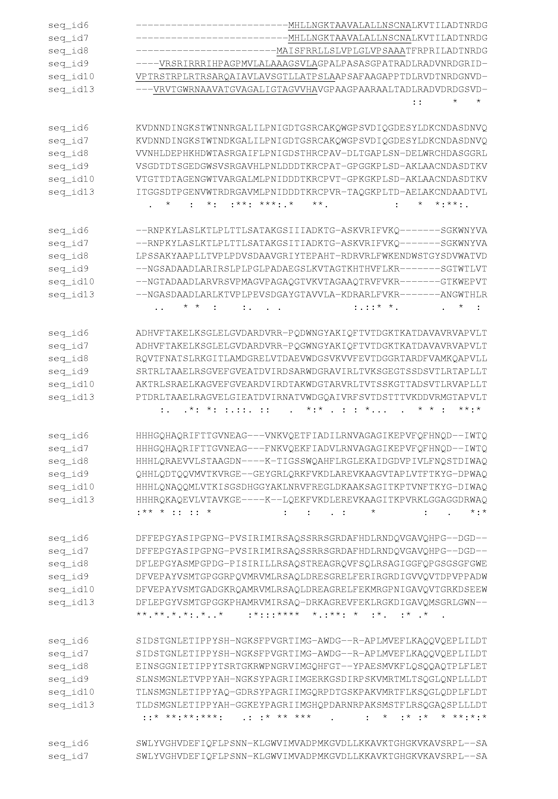 Peptidylarginine deiminase and uses thereof in the production of citrullinated proteins and peptides