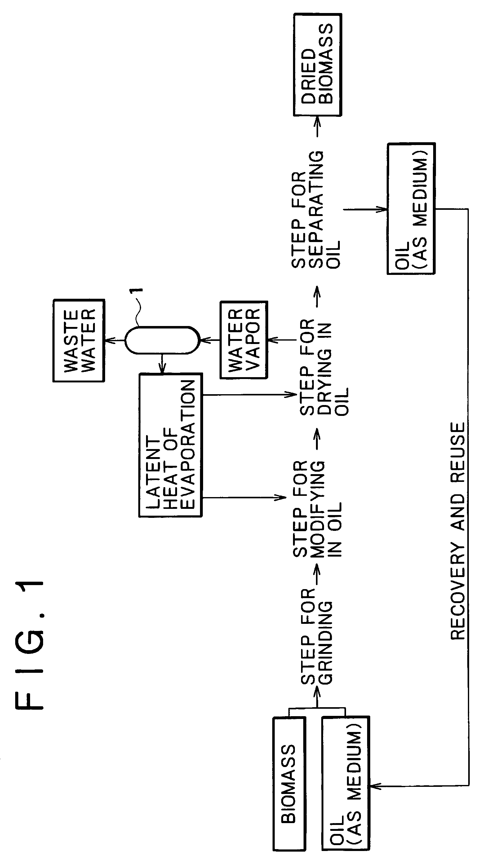 Method for drying plant-derived biomass and method for producing biomass fuel