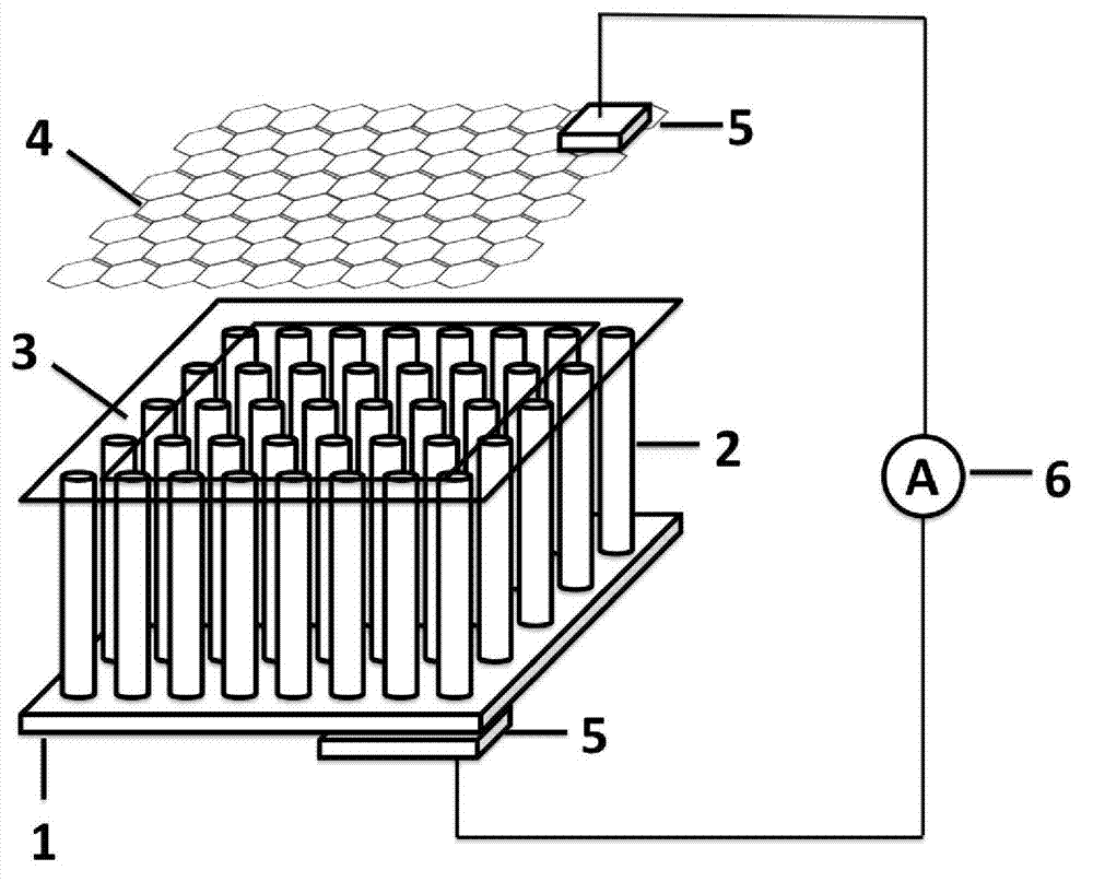 Ultraviolet light detector with titanium dioxide nanotube array serving as matrix and preparation method thereof