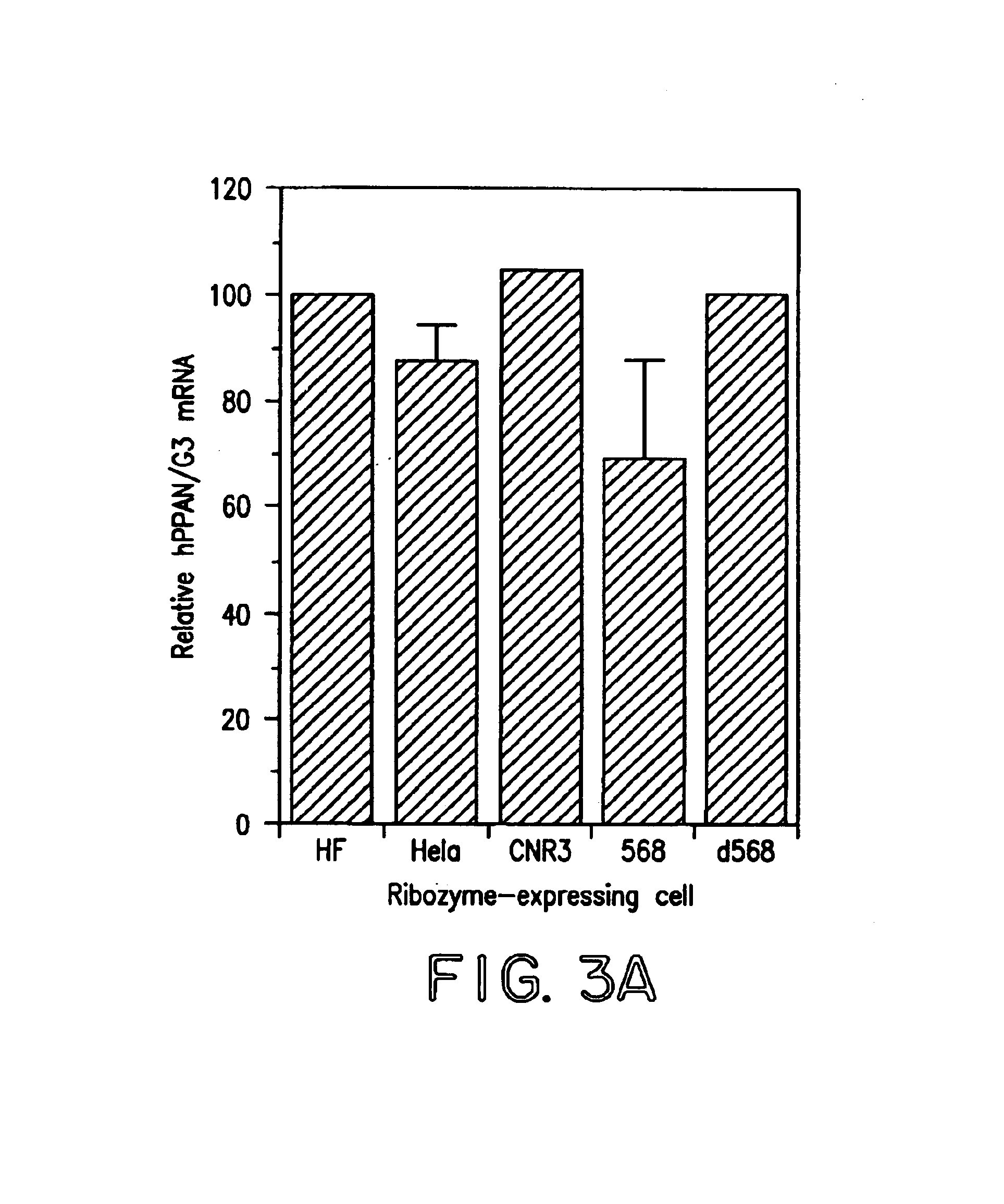 Tumor suppressor molecules and methods of use