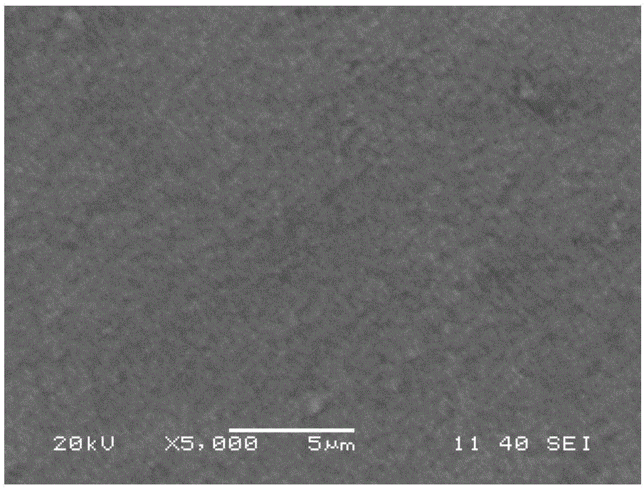 Stainless steel hydrogen permeation barrier composite membrane and preparation method thereof