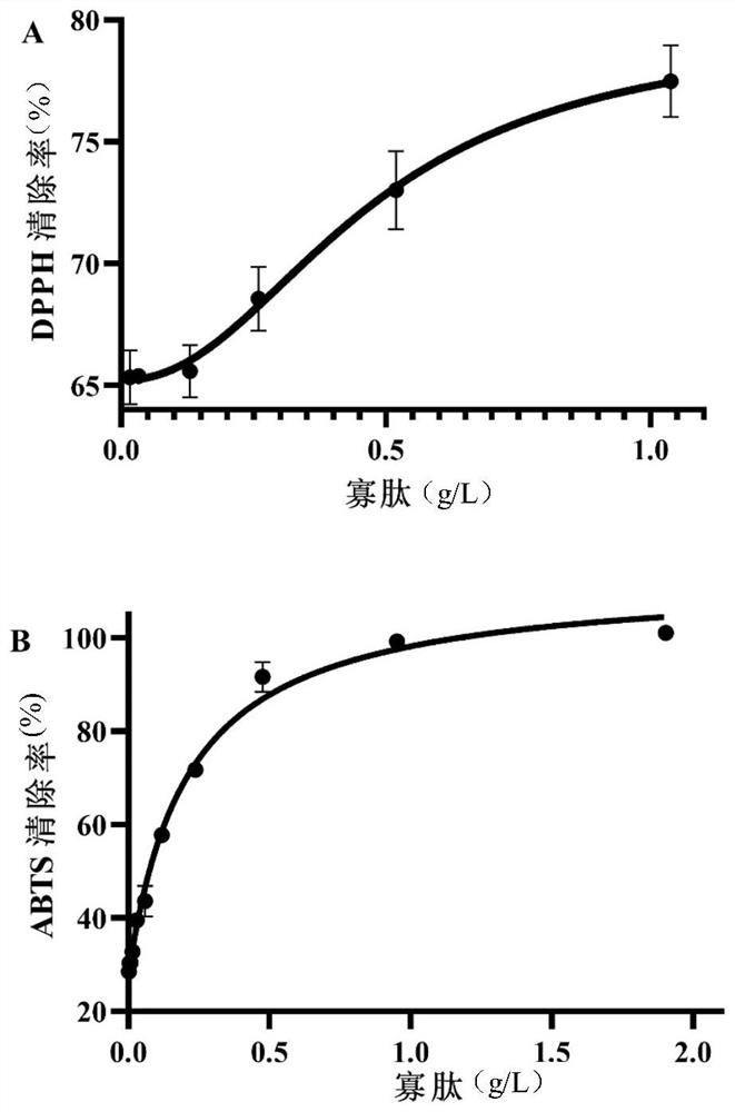 Method for producing amino acid, oligopeptide, calcium lactate and chitin by treating shrimp shell waste through solid-state fermentation of streptomyces and application of amino acid, oligopeptide, calcium lactate and chitin