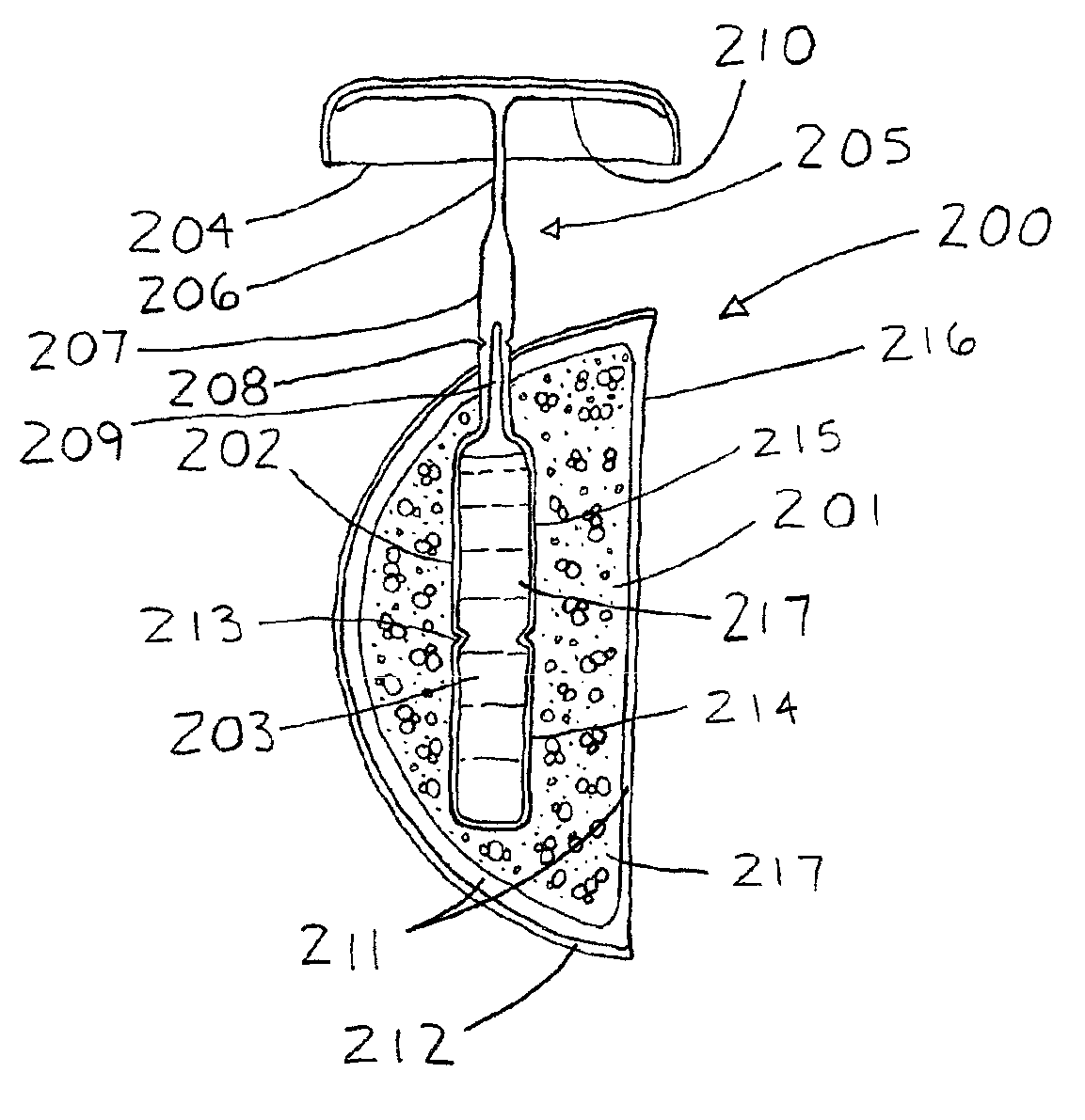 Fruit flavoring in the image of a fruit portion stored with a vessel for flavoring a fluid