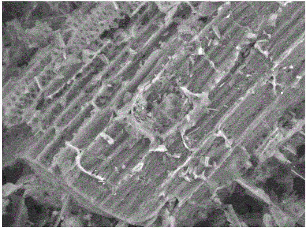 Method for removing hexavalent chrome in wastewater by using sodium humate/biochar magnetic composite material