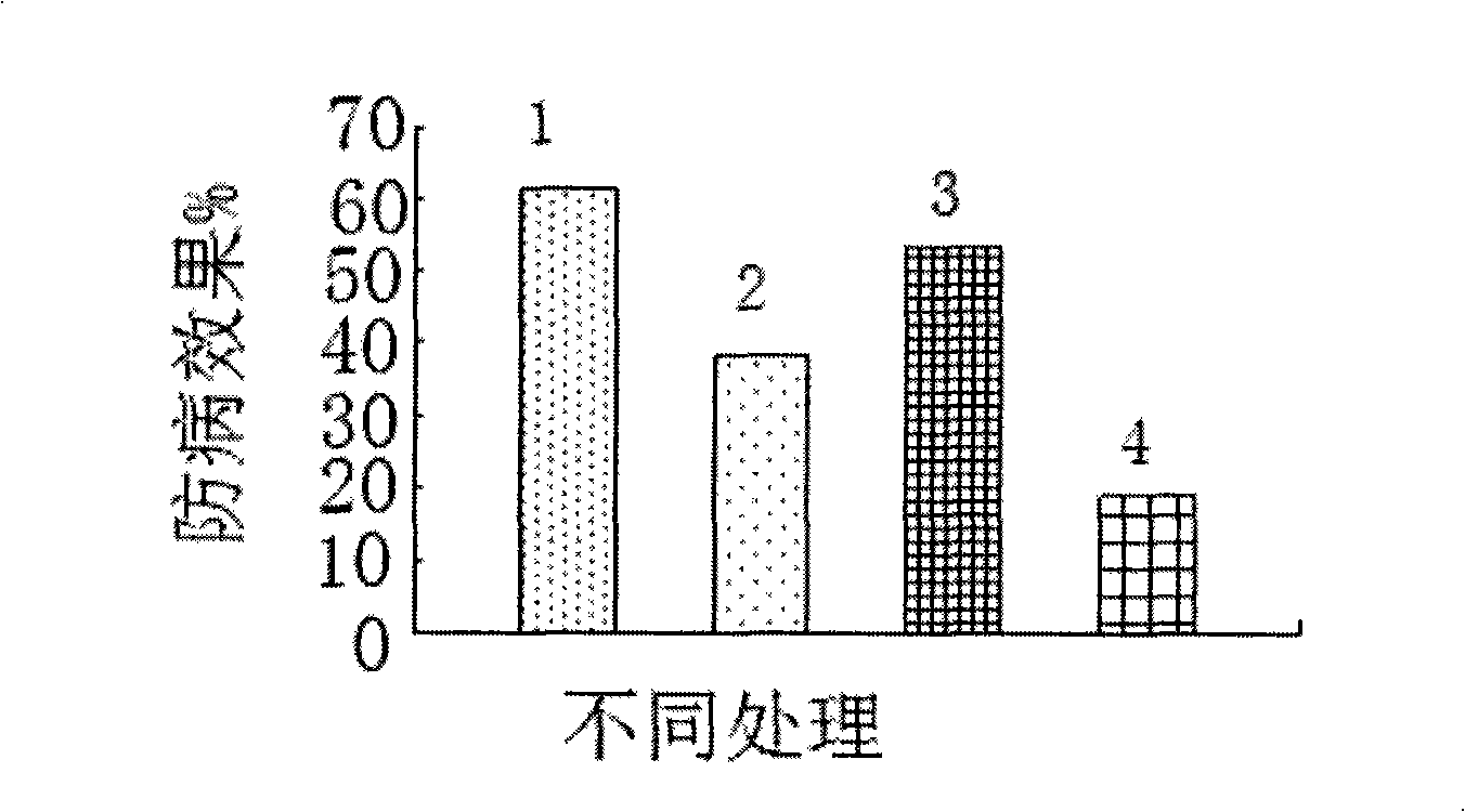 Multifunctional biological compound fertilizer as well as preparation method and application thereof