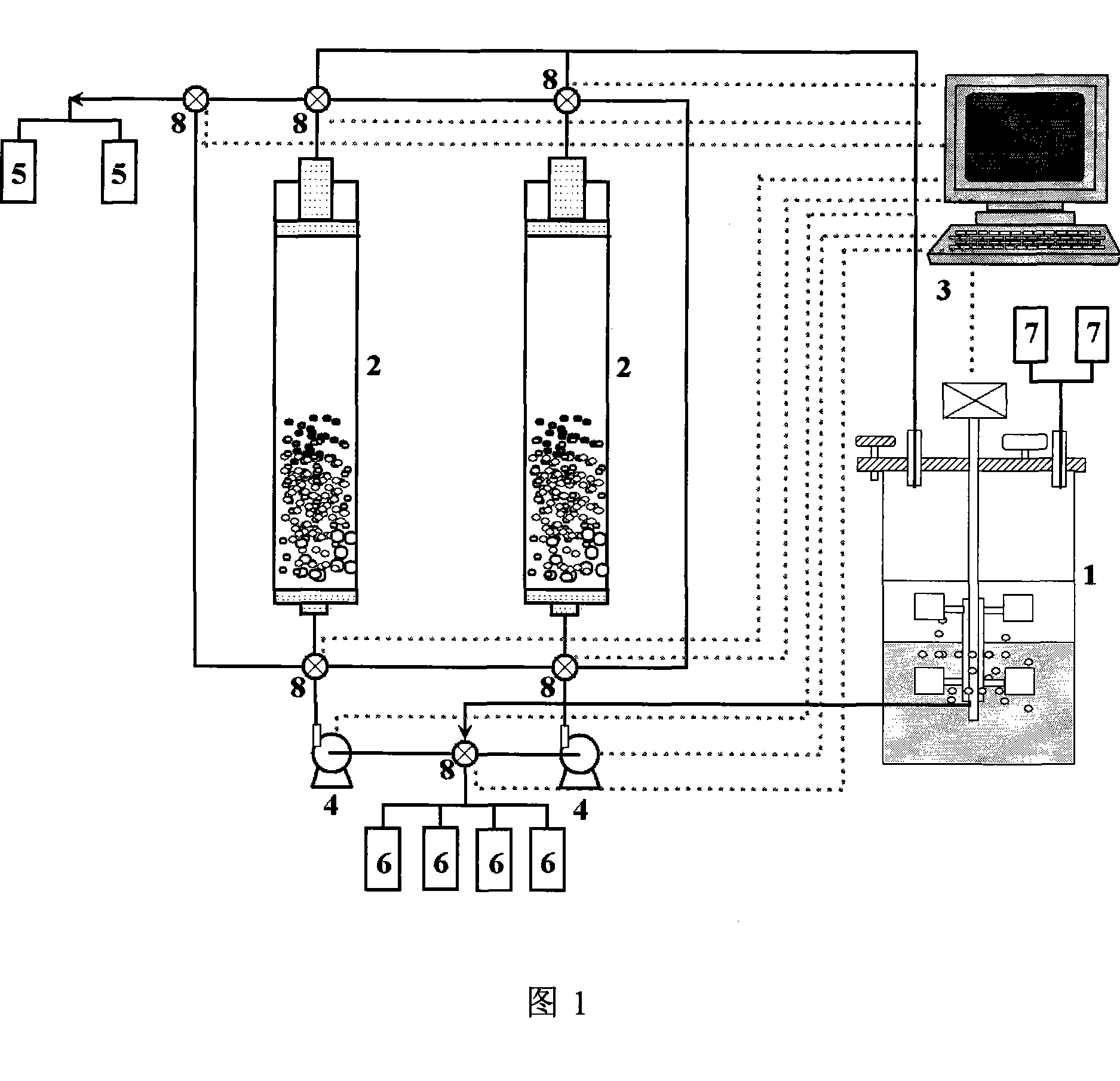 Coupling apparatus and technique for fermentation and separation of succinic acid by expanded bed adsorption and in situ extraction