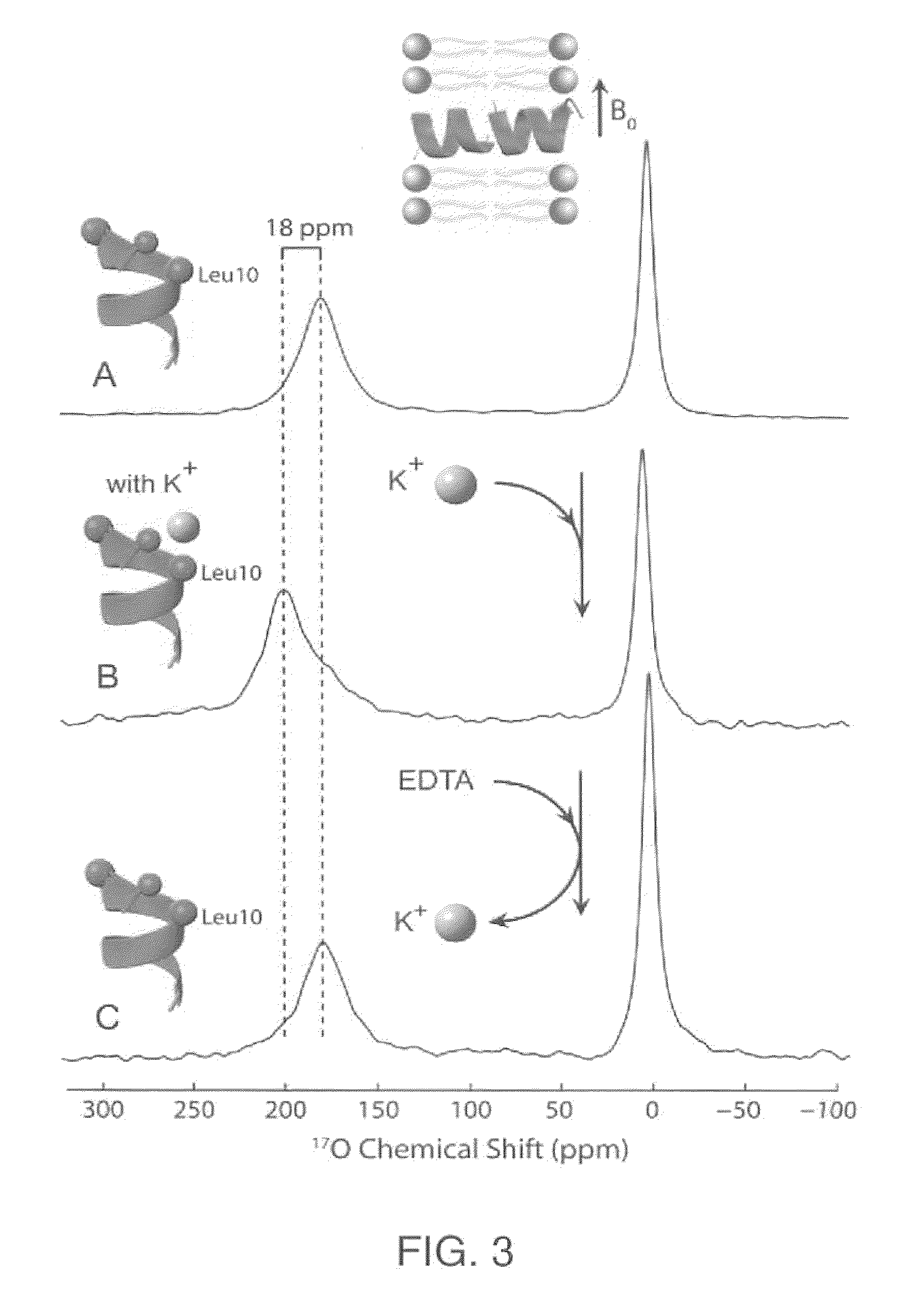 Solid state NMR method for screening cell membrane protein binding drug candidates