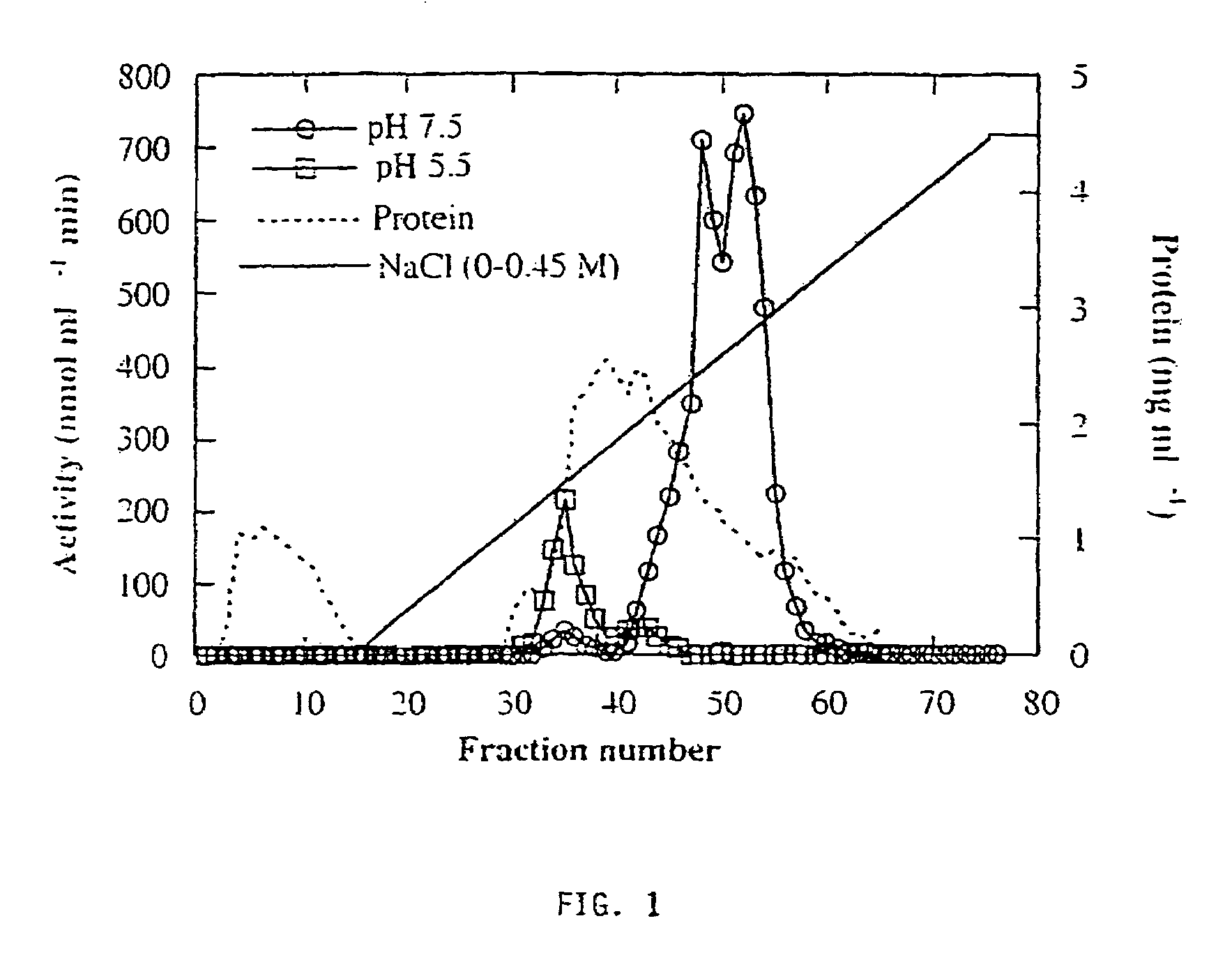 Plant-derived alkaline alpha-galactosidase